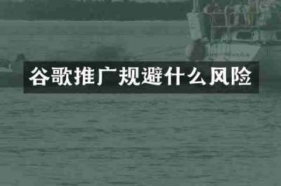 谷歌推广规避什么风险