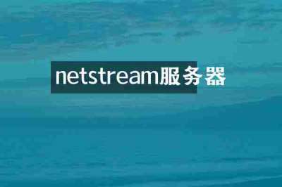 netstream服务器