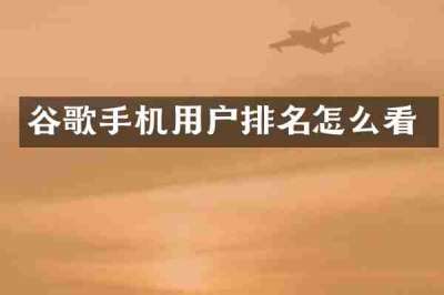 谷歌手机用户排名怎么看