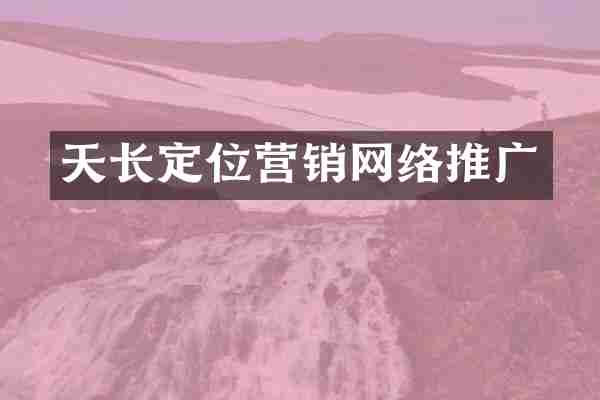 天长定位营销网络推广