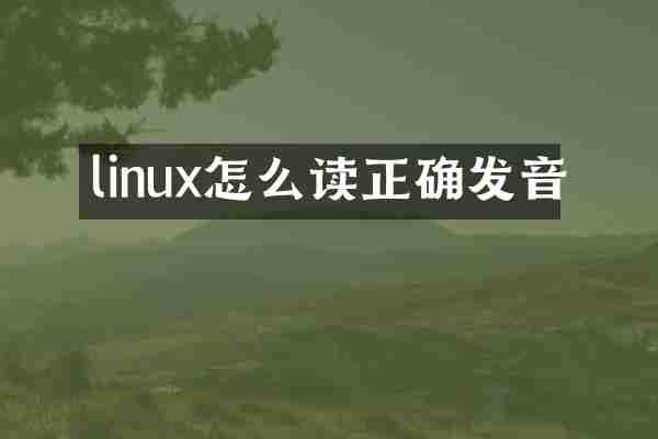 linux怎么读正确发音