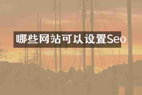 哪些网站可以设置Seo