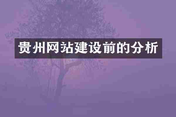 贵州网站建设前的分析