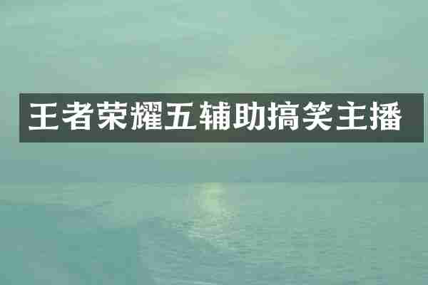 王者荣耀五辅助搞笑主播