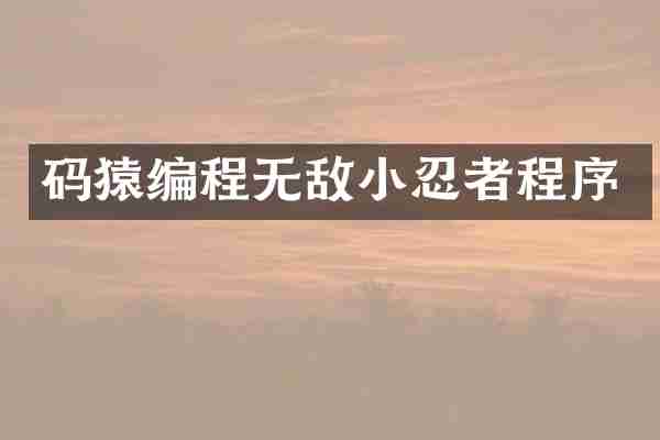 码猿编程无敌小忍者程序