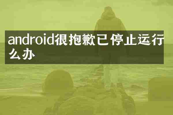 android很抱歉已停止运行怎么办