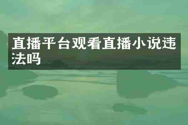 直播平台观看直播小说违法吗
