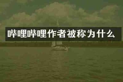 哔哩哔哩作者被称为什么