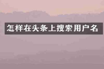 怎样在头条上搜索用户名