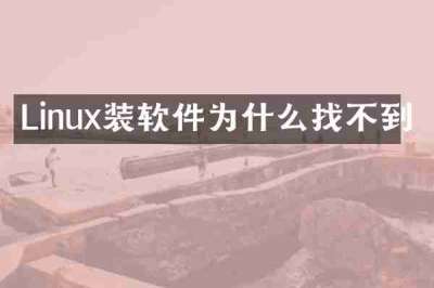 Linux装软件为什么找不到