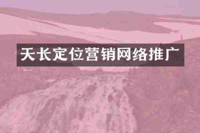 天长定位营销网络推广