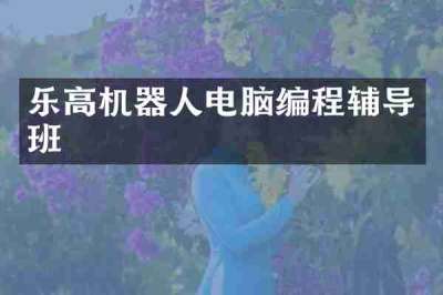 乐高机器人电脑编程辅导班