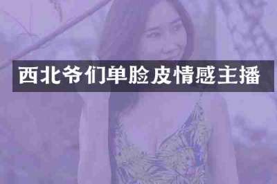 西北爷们单脸皮情感主播