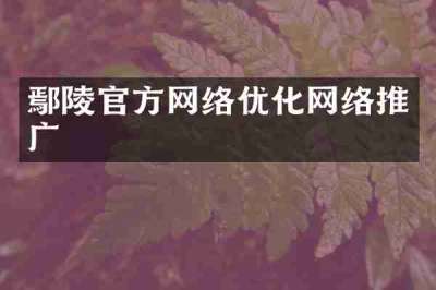 鄢陵官方网络优化网络推广