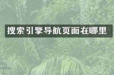 搜索引擎导航页面在哪里