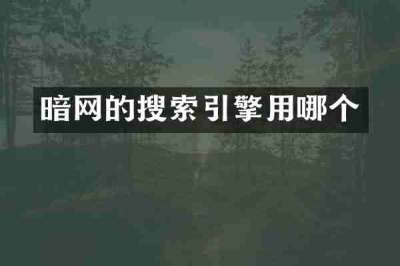 暗网的搜索引擎用哪个