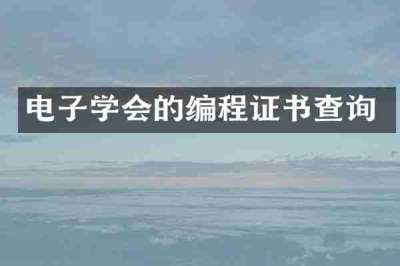 电子学会的编程证书查询