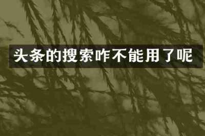 头条的搜索咋不能用了呢