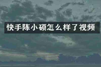 快手陈小硕怎么样了视频