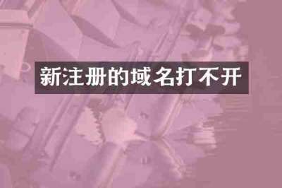 新注册的域名打不开