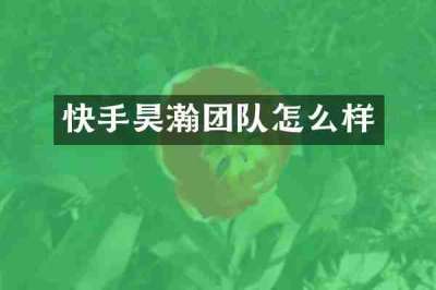 快手昊瀚团队怎么样