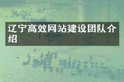 辽宁高效网站建设团队介绍
