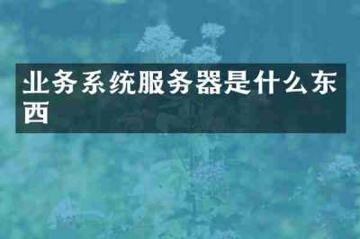 业务系统服务器是什么东西