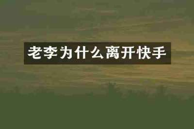 老李为什么离开快手