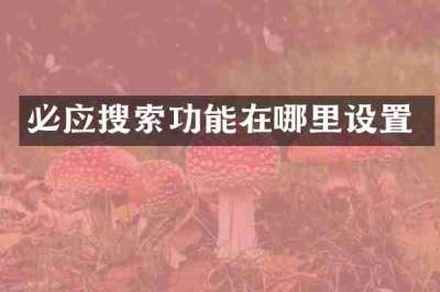 必应搜索功能在哪里设置