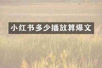 小红书多少播放算爆文