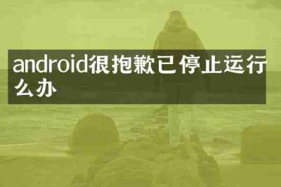 android很抱歉已停止运行怎么办