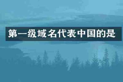 第一级域名代表中国的是