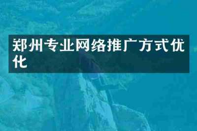 郑州专业网络推广方式优化