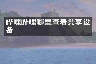 哔哩哔哩哪里查看共享设备