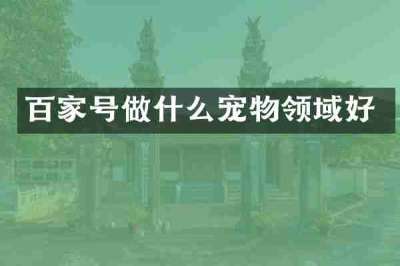 百家号做什么宠物领域好