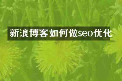 新浪博客如何做seo优化