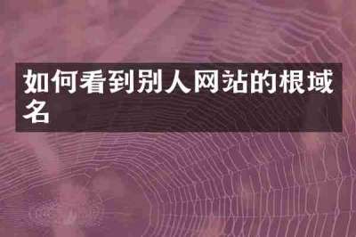 如何看到别人网站的根域名