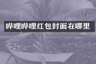 哔哩哔哩红包封面在哪里