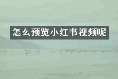 怎么预览小红书视频呢