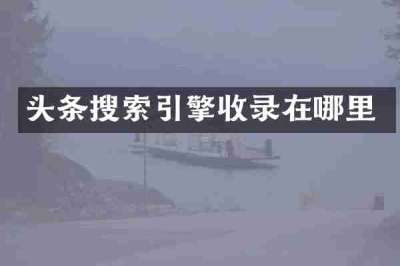 头条搜索引擎收录在哪里