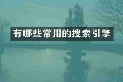有哪些常用的搜索引擎