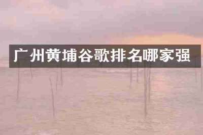 广州黄埔谷歌排名哪家强