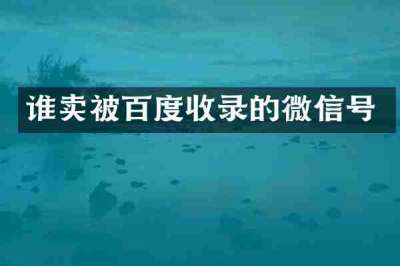 谁卖被百度收录的微信号