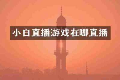 小白直播游戏在哪直播
