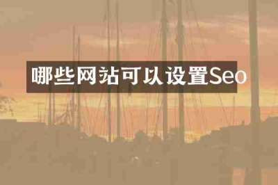 哪些网站可以设置Seo