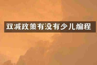 双减政策有没有少儿编程