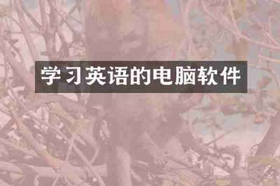 学习英语的电脑软件