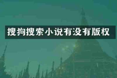 搜狗搜索小说有没有版权