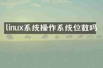linux系统操作系统位数吗
