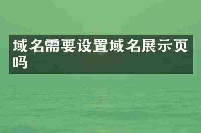 域名需要设置域名展示页吗